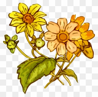Sunflower Seed,plant,flora - Plantas Del Periodo Cretacico Clipart