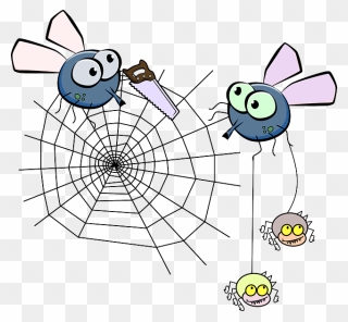 Flies, Mosquito, Spider, Insect, Spiderweb, Saw - Spider Web Clip Art - Png Download