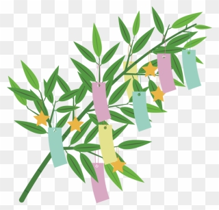 Sasa Broad Leaf Bamboo Clipart 笹 の 葉 無料 イラスト Png