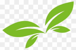 Botanical Vector Green Plant - Green Leaf Vector Png Clipart