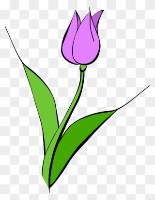 Purple Tulip Clip Art - Purple Tulips Clipart - Png Download