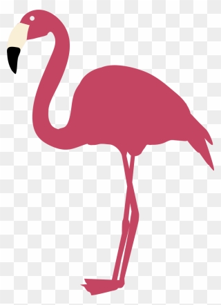 Flamingo Clip Svg - Flamingo Cut File - Png Download