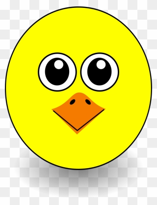 Funny Chick Face Cartoon - Bird Face Clipart - Png Download