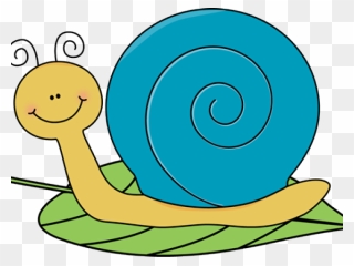 Snail Clipart Transparent Background - Png Download