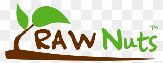 Nut Clipart Raw - Png Download