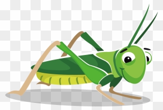 Transparent Grass Cartoon Png - Grasshopper Clipart Png