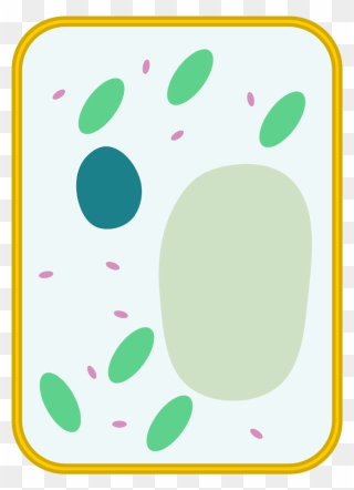 File Simple Diagram Of - Simple Plant Cell Diagram Unlabeled Clipart