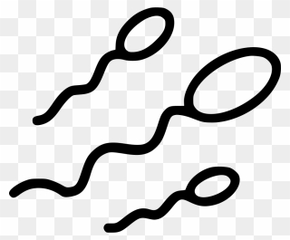 Sperm Cell Png Clipart, Png Download - Sperm Cell Sperm Png Transparent Png
