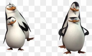 Madagascar Penguins Png - Nicktoons The Penguins Of Madagascar Clipart