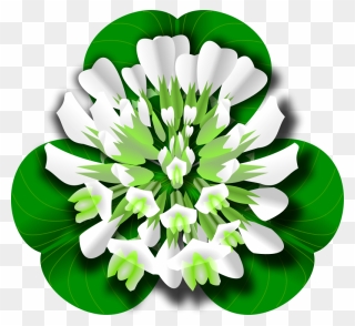 White Clover Flower - White Clover Clipart - Png Download