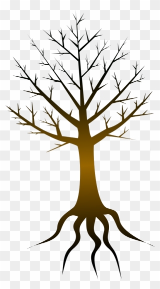 Tree Trunk Svg Clip Arts - Tree Without Leaves Clipart Png Hd Transparent Png