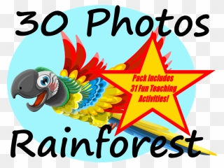 30 Photos Of The Amazon Rainforest 31 Fun Teaching - Amazon Rainforest Animals Clip Art - Png Download