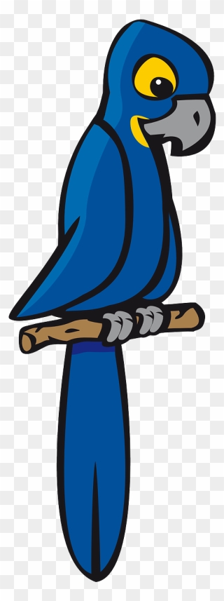 Blue Parrot Clip Art - Png Download