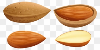 Almond Clipart Single - Almonds Clip Art - Png Download