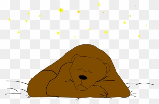 Sleeping Bear Under The Stars Clipart - Sea Lion - Png Download