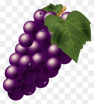 Grape Fruits Clipart - Grape - Png Download