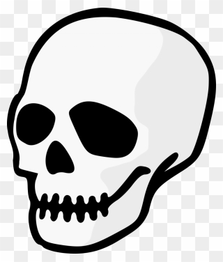 Skull Drumsticks Clipart Banner Freeuse Library Skull - Skull Clipart - Png Download