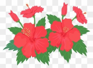 Hibiscus Flower Clipart - Hawaiian Hibiscus - Png Download