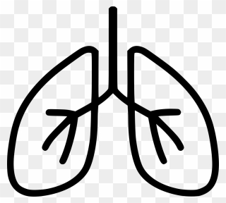 Breathe Png - Transparent Lungs Icon Png Clipart