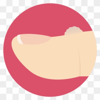 Circle Clipart