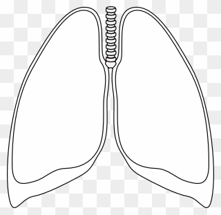 Lung Clear Lung Clip Art At Clker - Lungs Clipart Black And White - Png Download