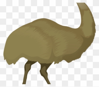 Emu Cartoon Png Clipart