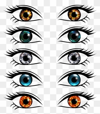 Eye Iris Pupil - Blue Eyes Brown Eyes Cartoon Clipart