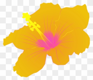 Hibiscus Flower Tropical Floral Png Image - Hibiscus Clip Art Transparent Png