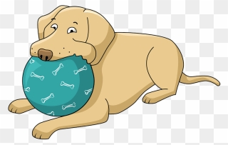 Labrador With A Ball Clipart - Dog With Ball Clipart - Png Download