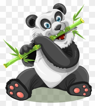 Eating Bamboo Of Panda Clipart