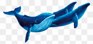 Fantasia 2000 Humpback Whale Clipart
