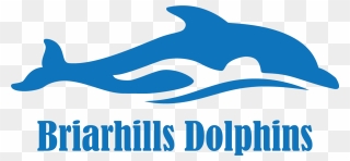 Briarhills Dolphins Swim Team Logo Clipart