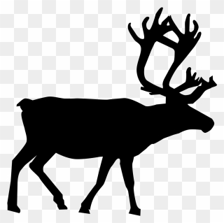 Elk,wildlife,silhouette Clipart