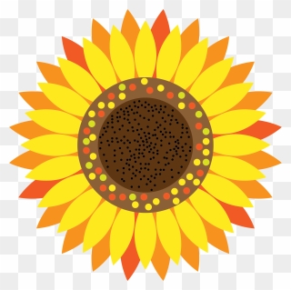 Image Of Sunflower Clipart Clipart Sunflower - Sunflower Cartoon - Png Download