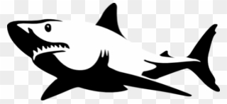 Black And White Shark Clipart - Png Download