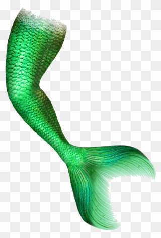 Mermaid Png For Computer - Mermaid Tail Green Screen Clipart