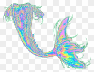Mermaid Tail Transparent Background Clipart
