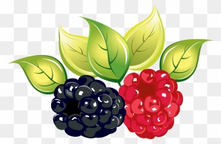 Rasberry Clipart Png Image - Transparent Berry Clipart