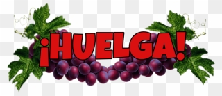 Huelga Cesar Chavez Boycott Grapes Delano - Illustration Clipart
