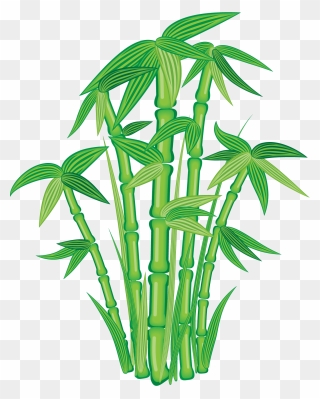 Bamboo Can Save The Planet Clipart