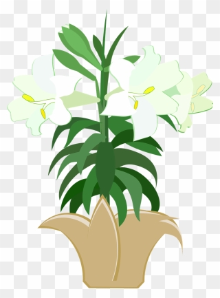 Clip Art Easter Lilies - Png Download