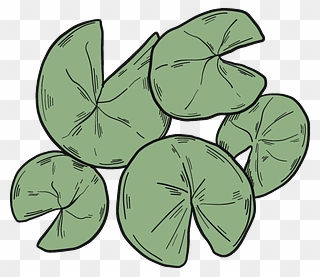 Lily Pads Clipart - Png Download