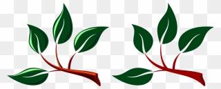 Stick Clipart Twig Leaves - Branch With Leaves Clipart - Png Download