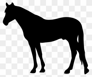 Transparent Cowboy And Horse Clipart - Horse Side View Silhouette - Png Download