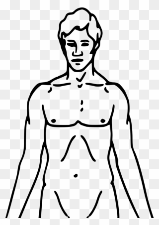 Pioneer Plaque Man Upper - Human Body Clipart Black And White - Png Download