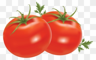 Tomato Clipart Png Transparent Png