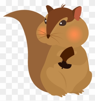 Squirrel Animal Clipart - Illustration - Png Download