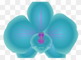 Transparent Orchid Clipart - Blue Orchid Clip Art - Png Download