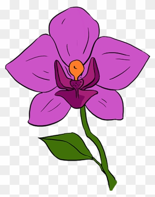 How To Draw Orchid - Draw A Orchid Flower Clipart
