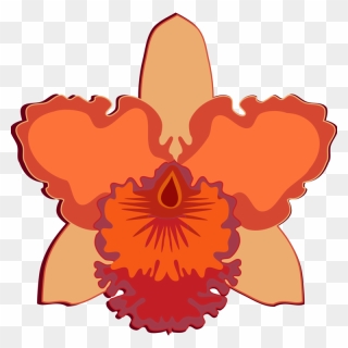 Transparent Peach Flower Png - Orchid Drawing Easy Clipart